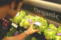 Преимущества органических продуктов питания поставлены под сомнение