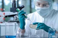 Модифицированный вирус герпеса препятствует метастазированию рака груди и яичников Модифицированный вирус герпеса препятствует метастазированию рака груди и яичников