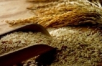 Рисовые отруби снижают заболеваемость раком