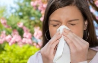 Новый метод спасет от сезонной аллергии?