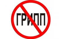 Препарат «триазавирин», эффективный против всех видов гриппа, поступит в продажу уже во второй половине 2011 года Препарат «триазавирин», эффективный против всех видов гриппа, поступит в продажу уже во второй половине 2011 года