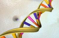 Американские ученые обнаружили генетическую причину синдрома Туретта