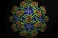 В Китае выпущена на рынок 1-ая в мире вакцина от вирусного гепатита Е