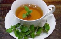 Ученые: Зелёный чай лечит главные болезни мозга