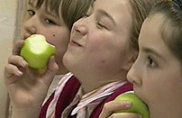 Диетологи рассказали, как правильно питаться школьникам