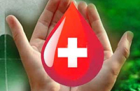 Рекомендации для тех, кто хочет стать донором крови