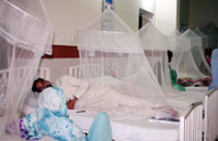 Пакистан стал центром распространения редкой смертельной инфекции