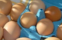 Гипоаллергенные яйца — надежда для аллергиков