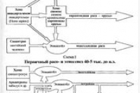 Казанского доктора признали виновным в смерти мальчика во время обрезания Казанского доктора признали виновным в смерти мальчика во время обрезания