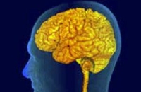 Сотрясение мозга имеет еще более серьезные последствия, чем принято считать