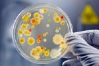 Европейцам наносят удар неизлечимые болезни Европейцам наносят удар неизлечимые болезни