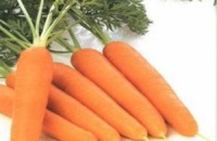 Морковь рекомендуют как замену аптечки