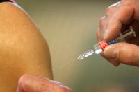 Вакцины от гриппа бесполезны, делают вывод медики Вакцины от гриппа бесполезны, делают вывод медики