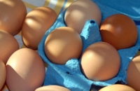 Ученые выяснили, почему тухлые яйца настолько неприятны человеческому носу