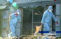 Вьетнам стал пристанищем нового штамма птичьего гриппа