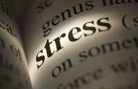 «Хронический стресс может привести к депрессии и даже язве желудка»