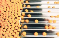 Минпромторг ограничит закупку импортных лекарств