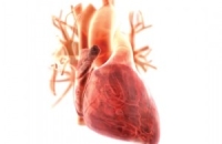 Уникальные сверхтехнологичные эндоваскулярные операции при нарушениях ритма сердца будут проведены в Казани