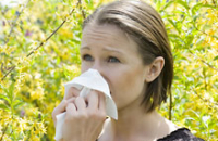 Спрей с целлюлозой – универсальная защита от аллергии