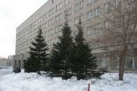 На Алтае успешно разделили сиамских близнецов На Алтае успешно разделили сиамских близнецов