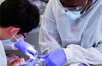 Ученые США предлагают растить новые зубы взамен старых и разрушенных прямо во рту