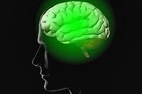 Ученые установили: мозг человека постоянно обновляется