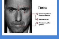 Эмоции. Виды эмоций Эмоции. Виды эмоций