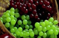 Виноград может защитить органы человека от метаболического синдрома