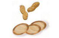 Пластырь Viaskin Peanut помогает организму совладать с аллергией на арахис