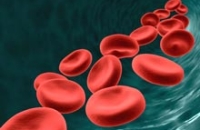 «Кислородный коктейль» для крови спасает от гипоксии