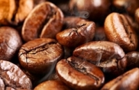 Кофейные зерна помогут сбросить вес