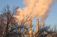 За увеличением числа аллергиков стоит диоксид углерода, показал анализ