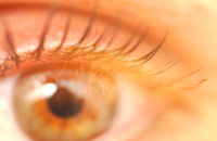 Новые технологии помогут ускорить и облегчить диагноз катаракты