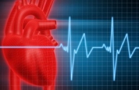 Учёные поняли причины внезапной сердечной смерти