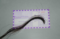 Диагностировавшие заболевания по волосам мошенники «заработали» 30 миллионов