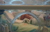 В Волгодонске возбудили дело по факту утраты зрения у 8 недоношенных младенцев