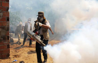 В Рио-де-Жанейро официально объявлена эпидемия лихорадки Денге
