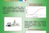 Врачи получили новую схему лечения клещевого энцефалита Врачи получили новую схему лечения клещевого энцефалита