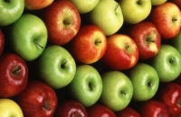 Яблоки: полезные свойства и противопоказания