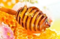 Ученые доказали, что мед обладает лечебными свойствами