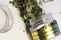 Синтетическая марихуана – что следует о ней знать