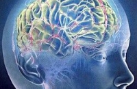 Мозг больного шизофренией создает поврежденные участки
