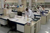 Создание мужских яичек в лабораторных критериях — новая цель врачей