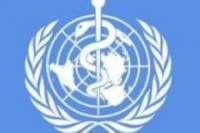 ВОЗ отказалась признать завершение пандемии гриппа H1N1 ВОЗ отказалась признать завершение пандемии гриппа H1N1