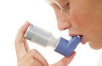 Домашняя плесень обостряет приступы астмы