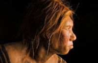 Дети неандертальцев находились на грудном вскармливании до 7 месяцев