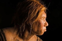 Дети неандертальцев находились на грудном вскармливании до 7 месяцев
