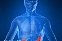 FDA в приоритетном порядке рассмотрит заявку Рош FDA в приоритетном порядке рассмотрит заявку Рош