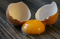 Яичные желтки — одни из самых вредных товаров, заявляет доктор Спенс