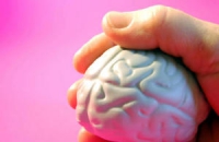 США приступают к изучению работы человеческого мозга